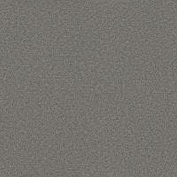 Phenix Floor Ever Pet Plus 12' Capri Carpet Tile