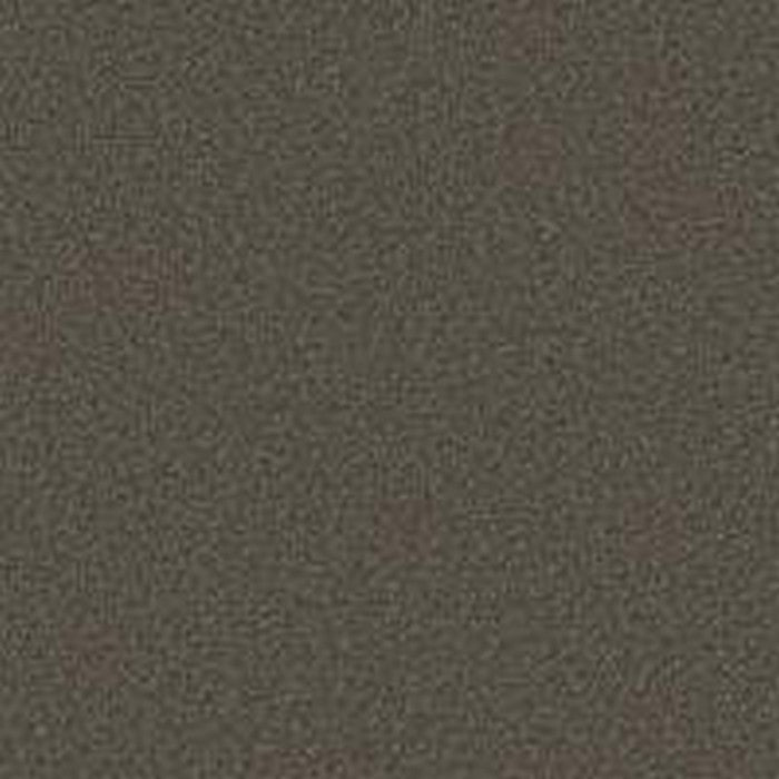 Phenix Floor Ever Pet Plus 12' Capri Carpet Tile