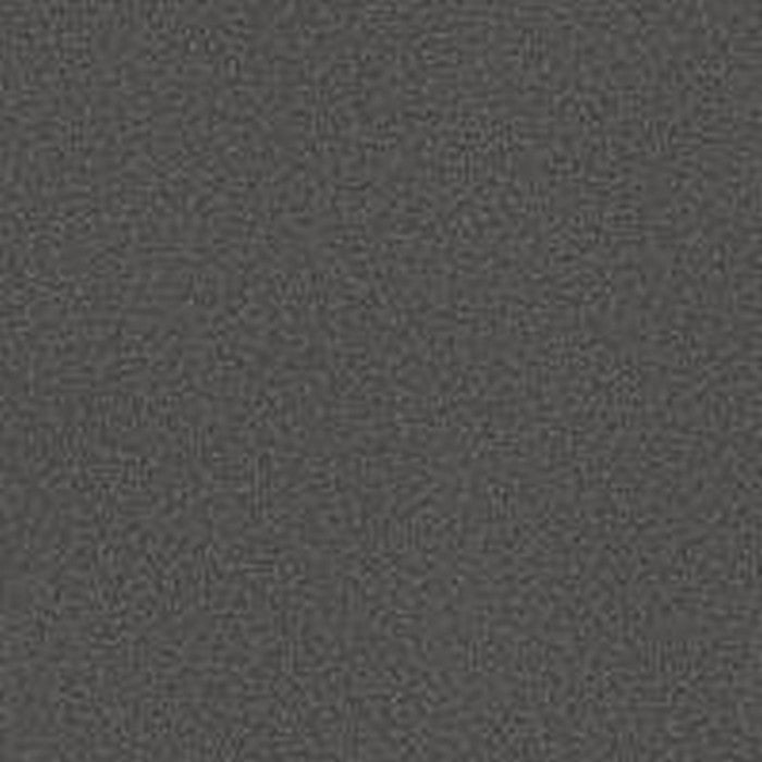 Phenix Floor Ever Pet Plus 12' Capri Carpet Tile