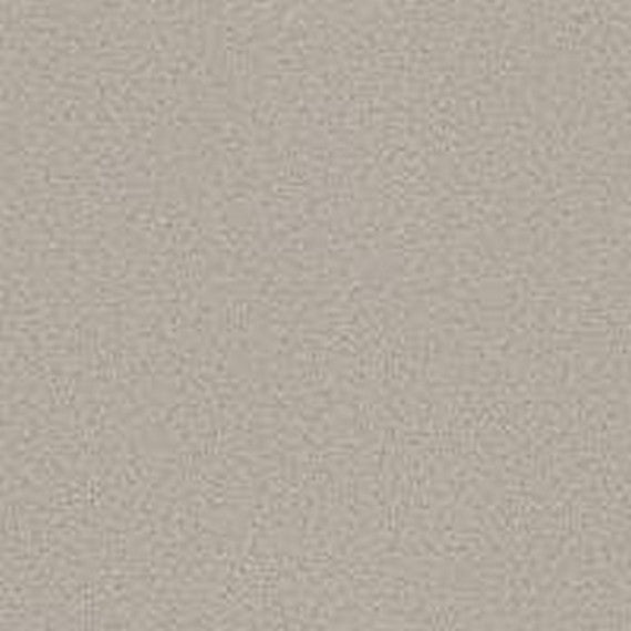 Phenix Floor Ever Pet Plus 12' Naples Carpet Tile