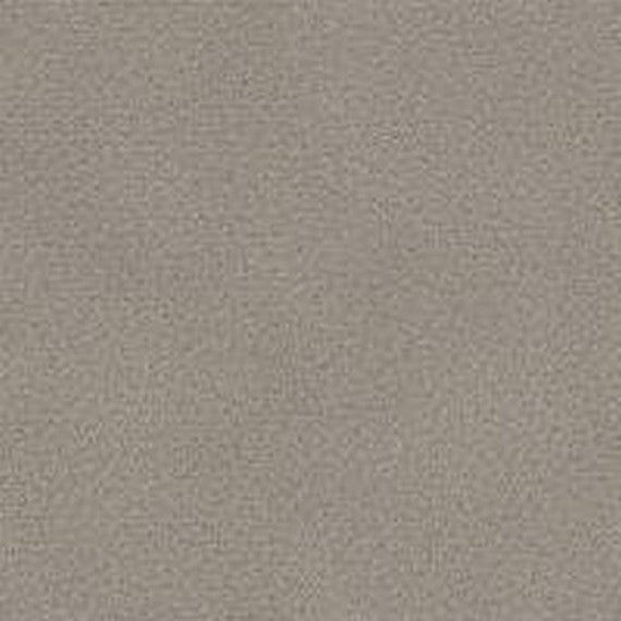 Phenix Floor Ever Pet Plus 12' Naples Carpet Tile