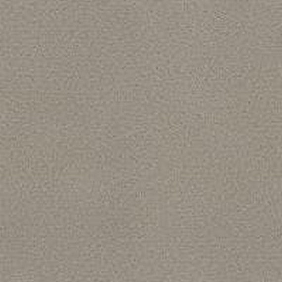 Phenix Floor Ever Pet Plus 12' Naples Carpet Tile