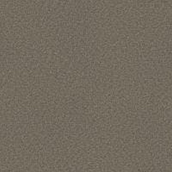 Phenix Floor Ever Pet Plus 12' Naples Carpet Tile