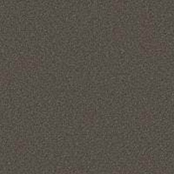 Phenix Floor Ever Pet Plus 12' Naples Carpet Tile