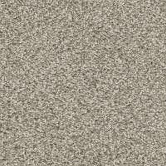 Phenix Floor Ever Pet Plus Crystal Cove 12' Carpet Tile