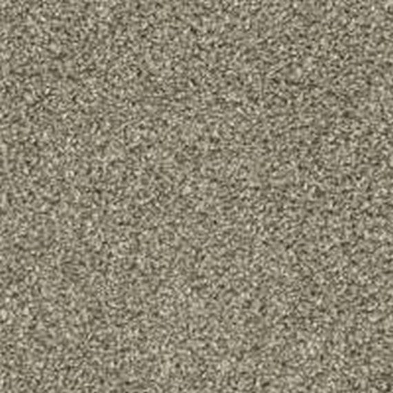 Phenix Floor Ever Pet Plus Crystal Cove 12' Carpet Tile