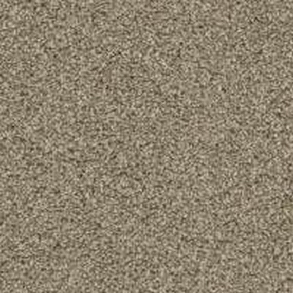 Phenix Floor Ever Pet Plus 12' Seaview Carpet Tile