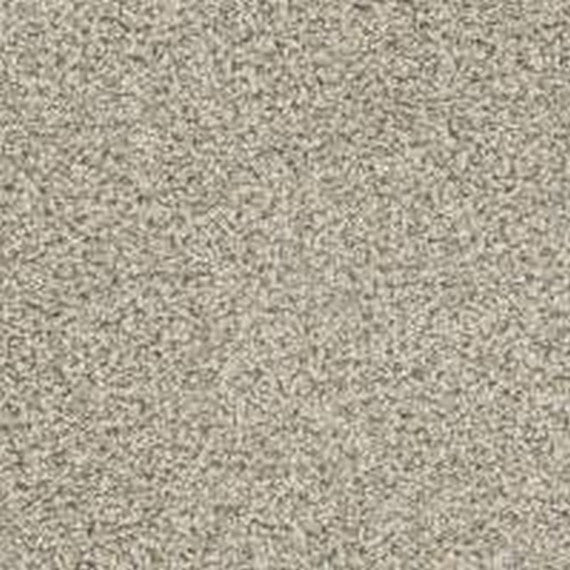 Phenix Floor Ever Pet Plus 12' Seaview Carpet Tile