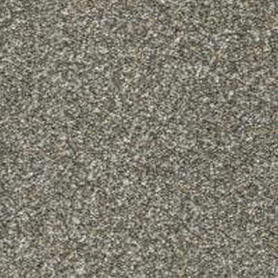 Phenix Floor Ever Pet Plus 12' Paxton Carpet Tile