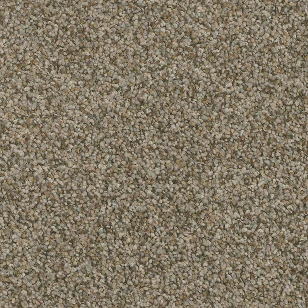 Phenix Floor Ever Pet Plus 12' Bari Carpet Tile