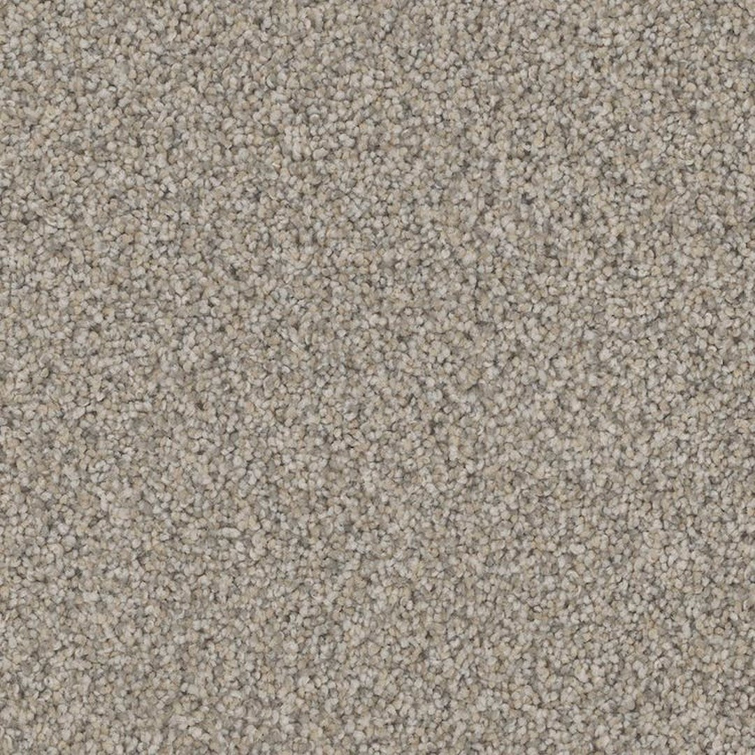 Phenix Floor Ever Pet Plus 12' Catania Carpet Tile