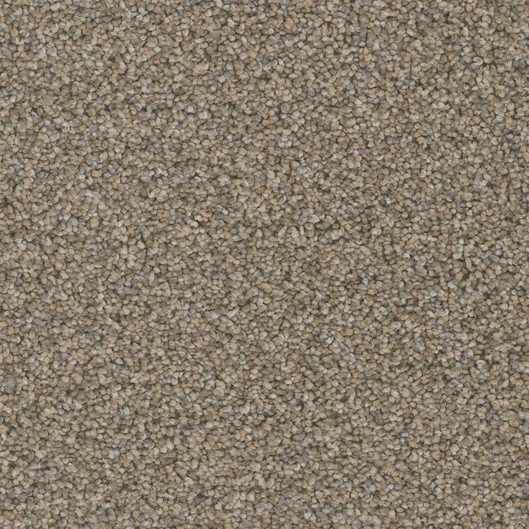 Phenix Floor Ever Pet Plus 12' Catania Carpet Tile