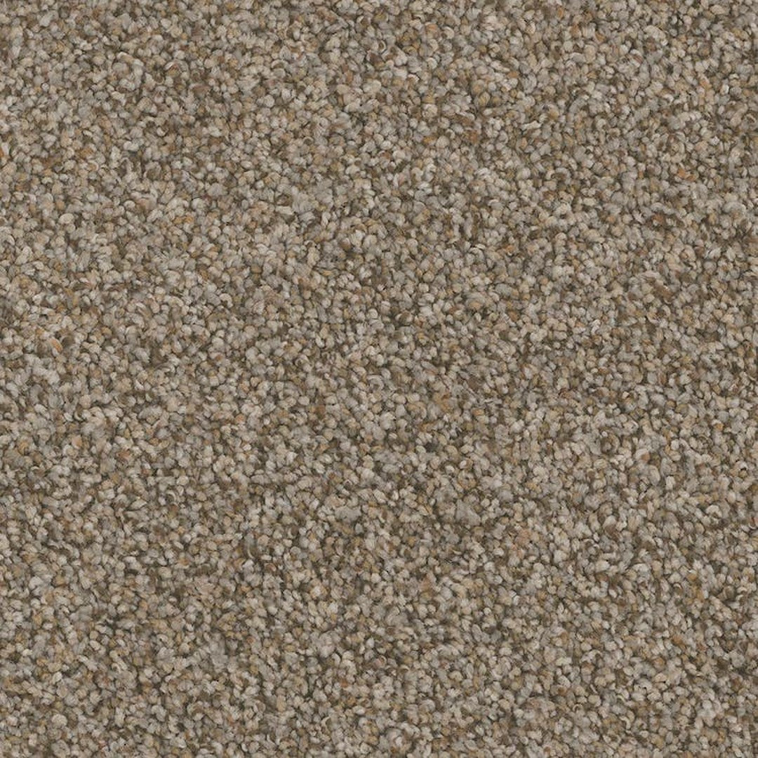 Phenix Floor Ever Pet Plus 12' Catania Carpet Tile