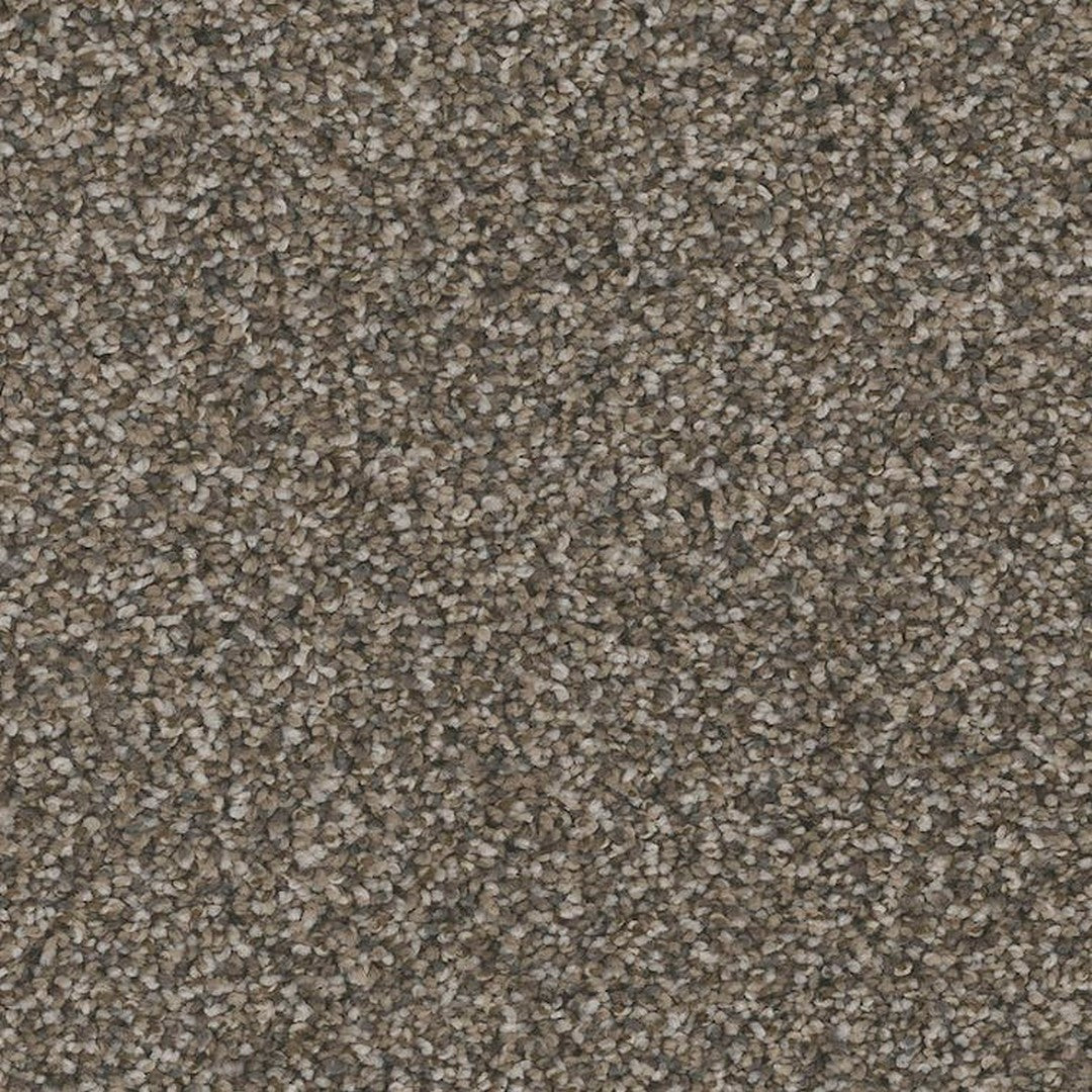 Phenix Floor Ever Pet Plus 12' Catania Carpet Tile