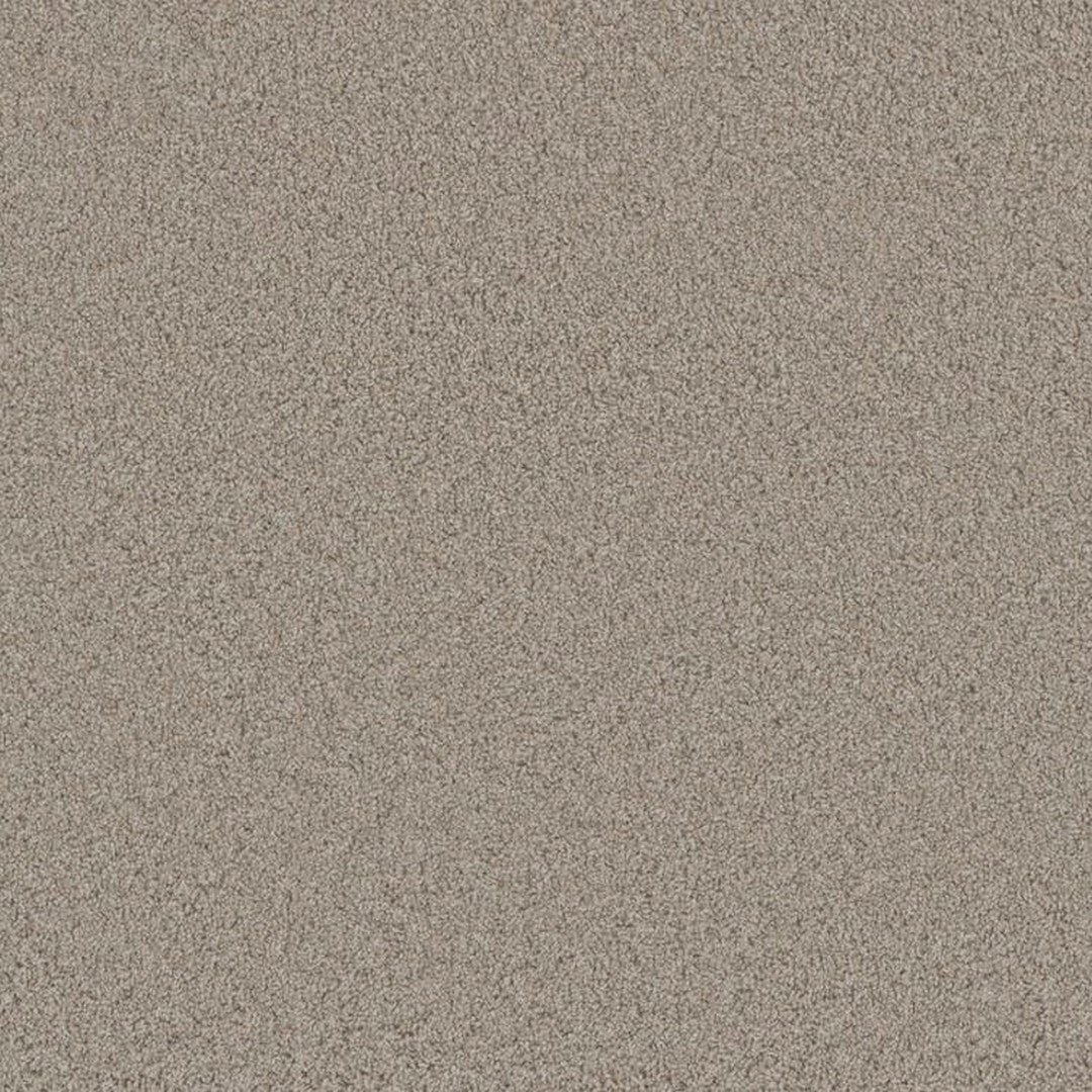 Phenix Floor Ever Pet Plus 12' Bougie Carpet Tile