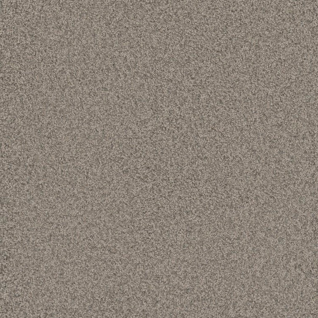 Phenix Floor Ever Pet Plus 12' Bougie Carpet Tile