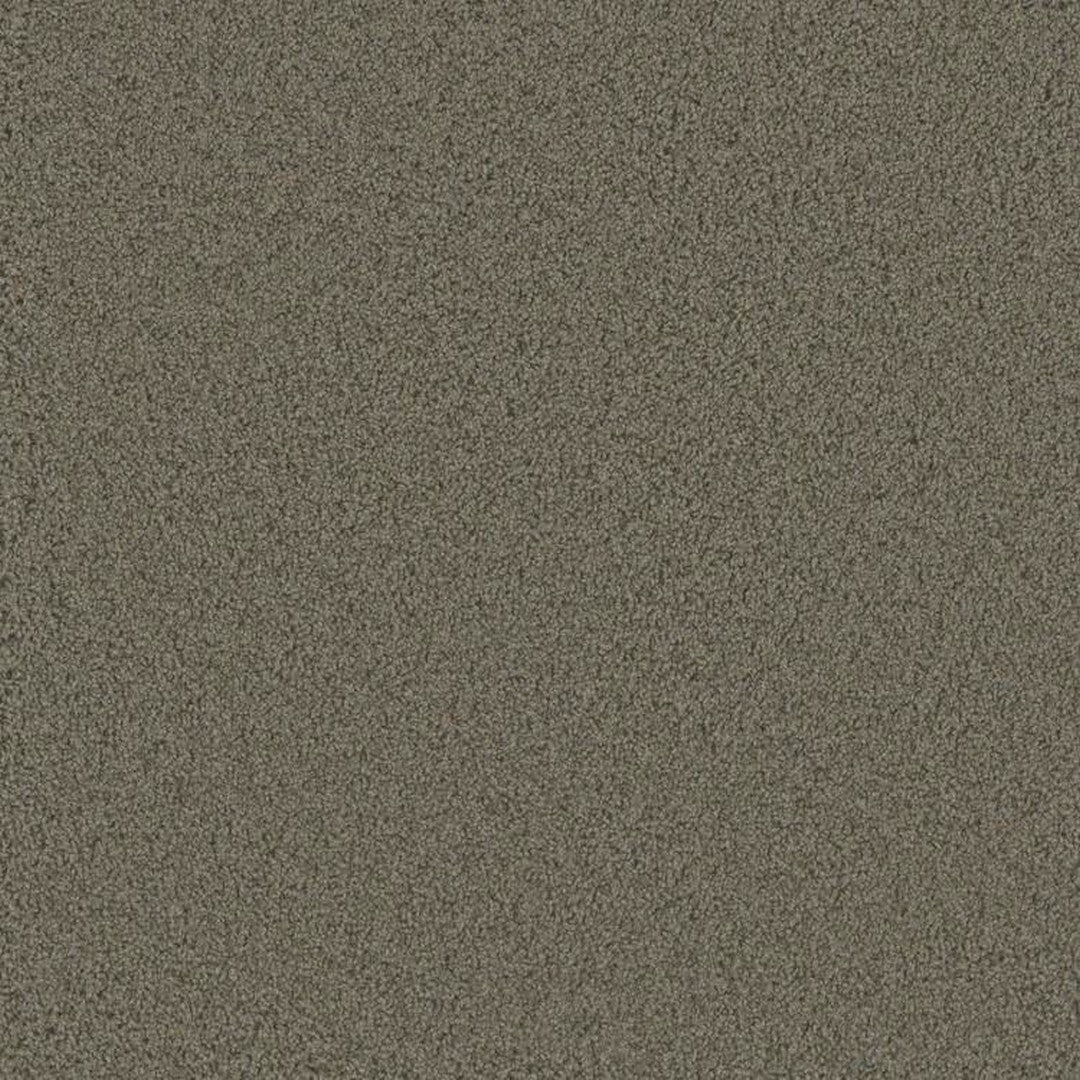 Phenix Floor Ever Pet Plus 12' Bougie Carpet Tile