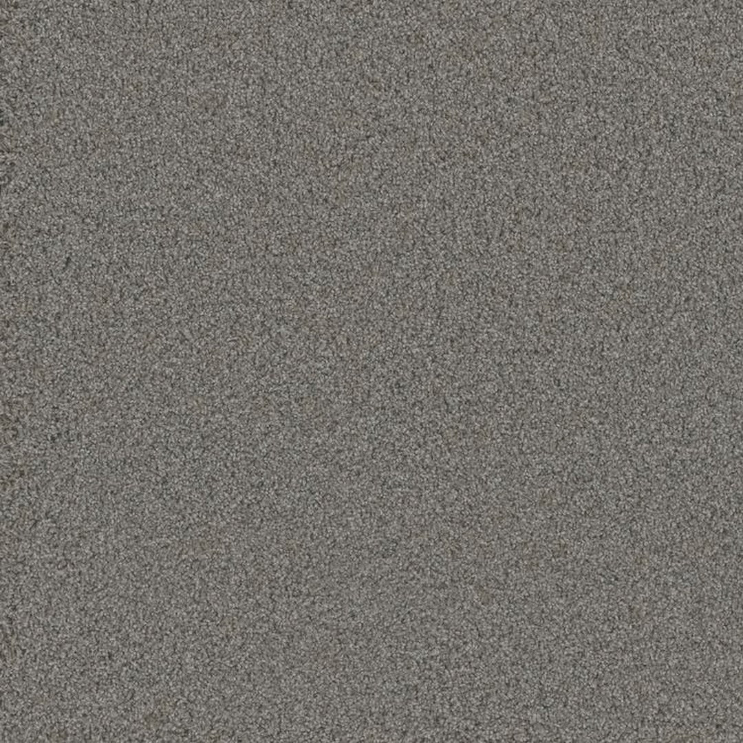 Phenix Floor Ever Pet Plus 12' Bougie Carpet Tile