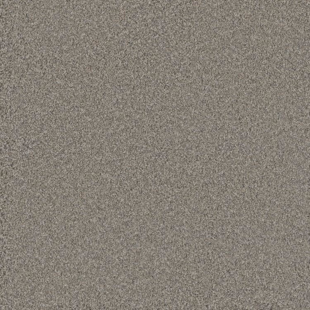 Phenix Floor Ever Pet Plus 12' Bougie Carpet Tile