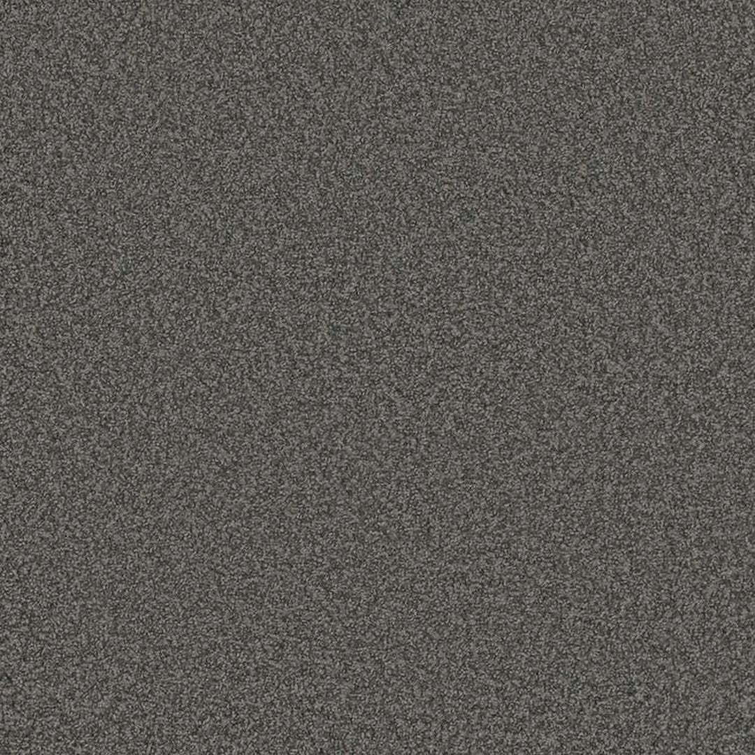 Phenix Floor Ever Pet Plus 12' Bougie Carpet Tile