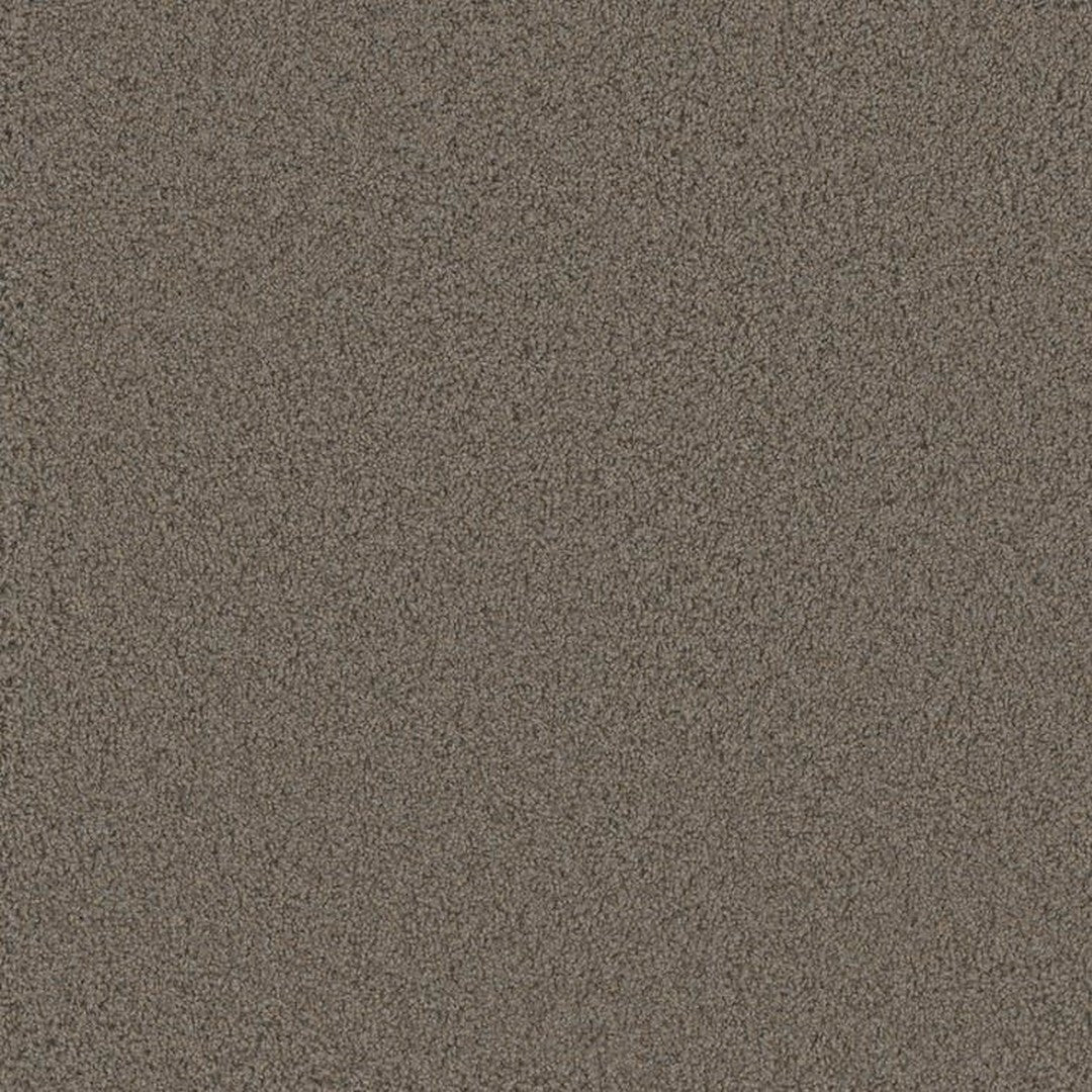 Phenix Floor Ever Pet Plus 12' Luxe Carpet Tile