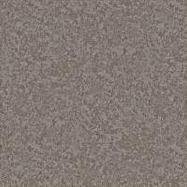 Phenix Floor Ever Pet Plus 12' Aviara Carpet Tile