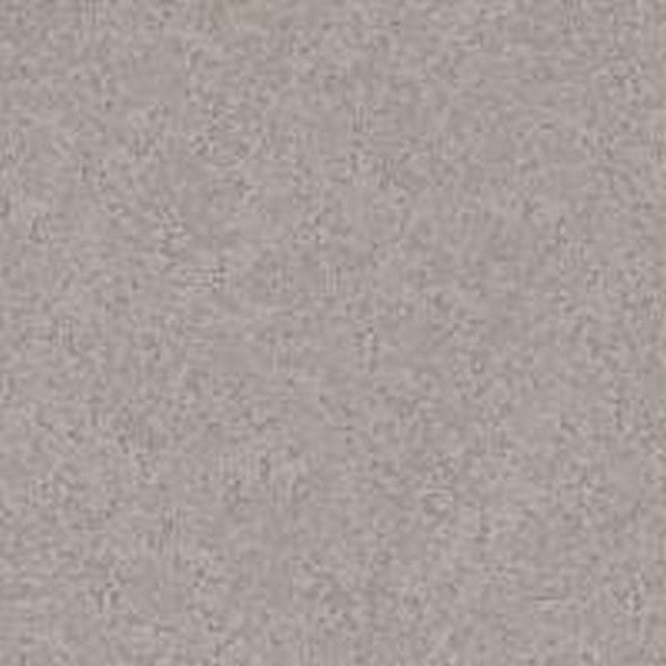 Phenix Floor Ever Pet Plus 12' Aviara Carpet Tile