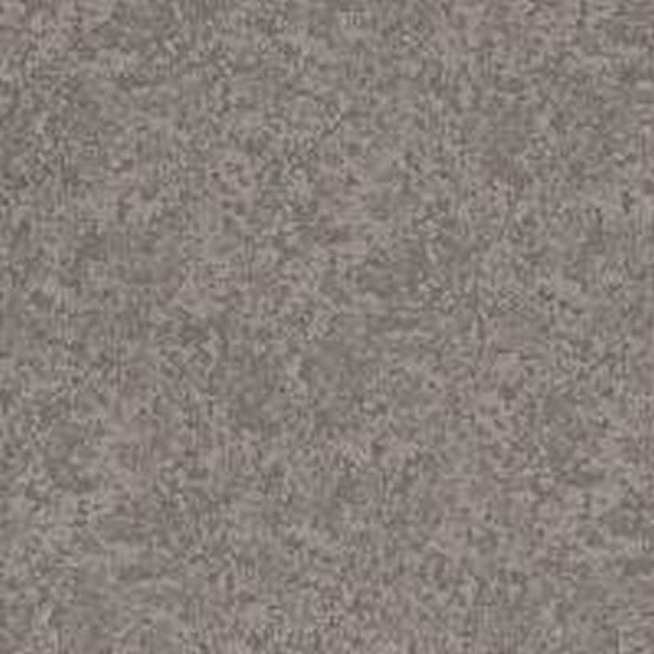 Phenix Floor Ever Pet Plus 12' Aviara Carpet Tile