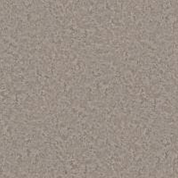Phenix Floor Ever Pet Plus 12' Aviara Carpet Tile
