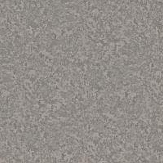Phenix Floor Ever Pet Plus 12' Aviara Carpet Tile