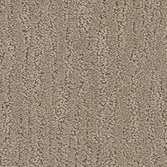 Phenix Floor Ever Pet Plus 12' Verona Carpet Tile