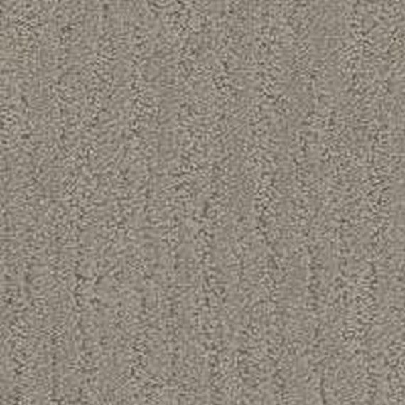 Phenix Floor Ever Pet Plus 12' Verona Carpet Tile