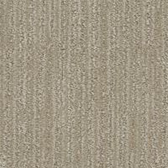 Phenix Floor Ever Pet Plus 12' All Inclusive Carpet Tile