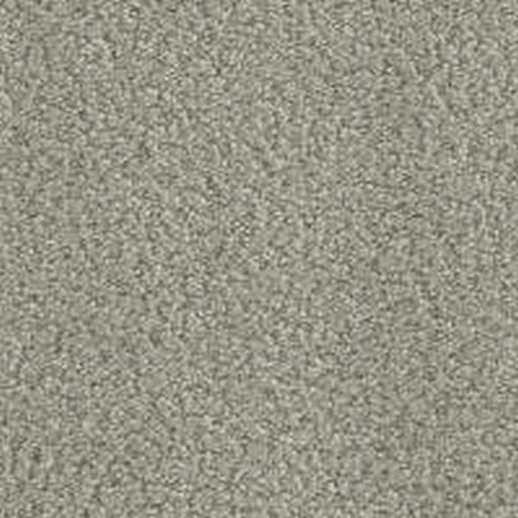 Phenix Floor Ever Pet Plus 12' In the Details Carpet Tile