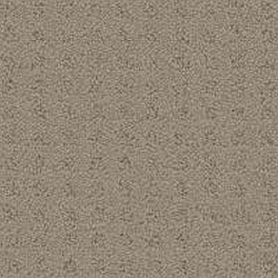 Phenix Floor Ever Pet Plus Debut 12' Carpet Tile