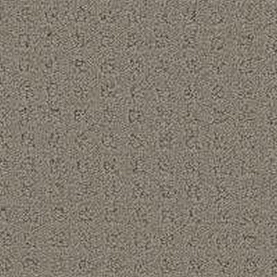 Phenix Floor Ever Pet Plus Debut 12' Carpet Tile