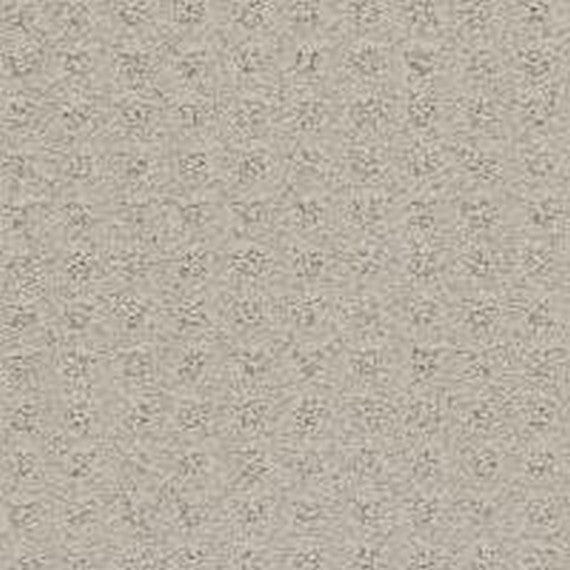 Phenix Floor Ever Pet Plus Debut 12' Carpet Tile