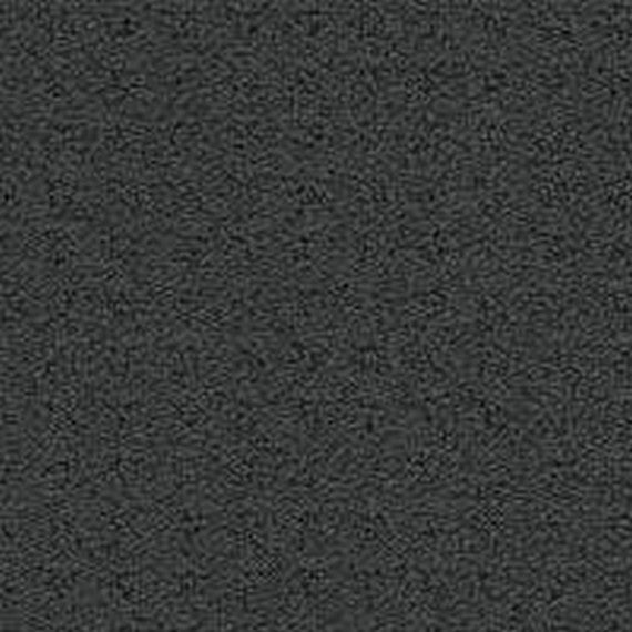 Phenix Floor Ever Pet Plus Debut 12' Carpet Tile