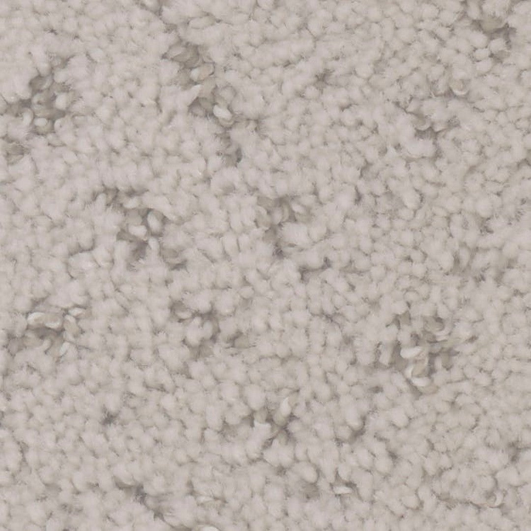 Phenix Floor Ever Pet Plus 12' Impression Carpet Tile