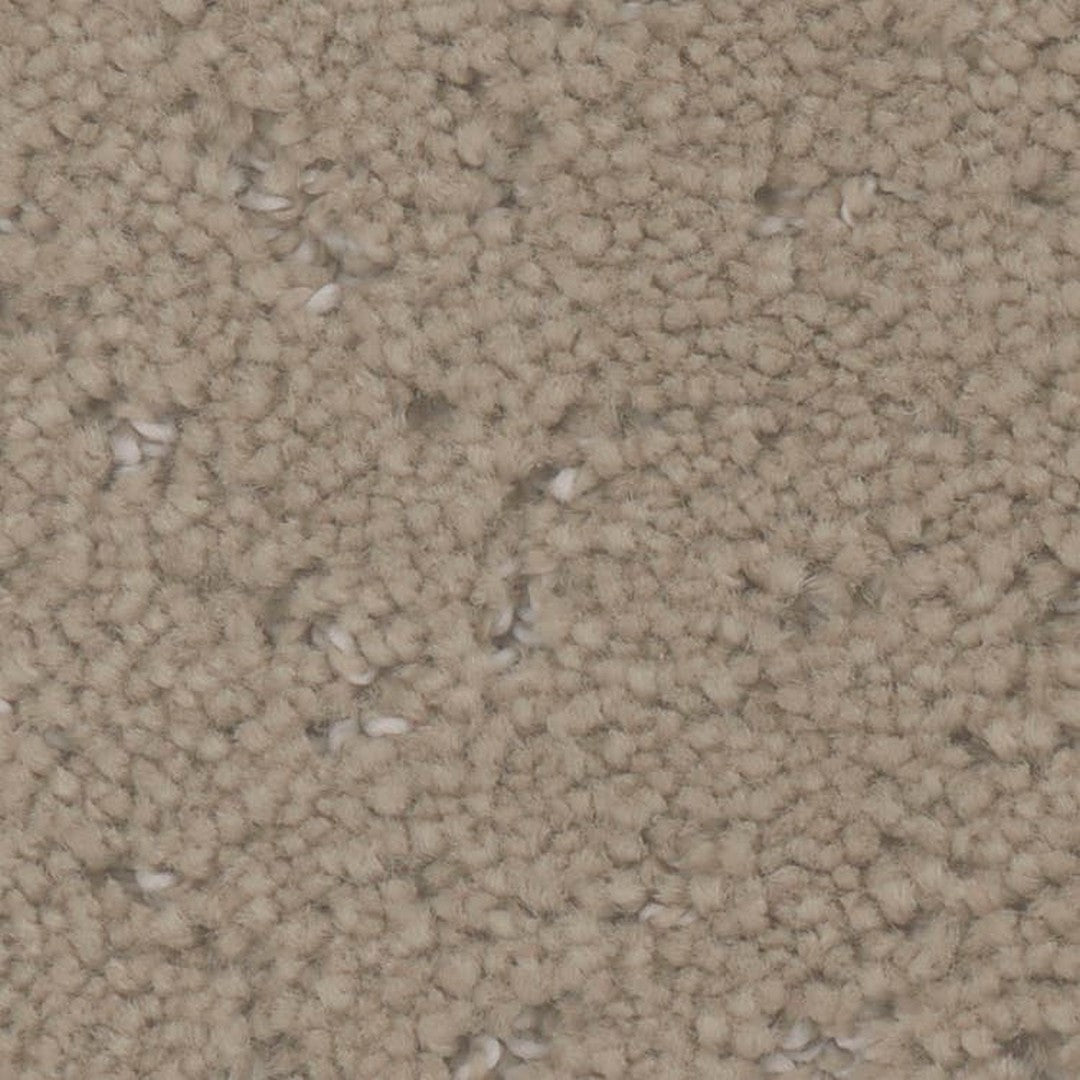 Phenix Floor Ever Pet Plus 12' Impression Carpet Tile