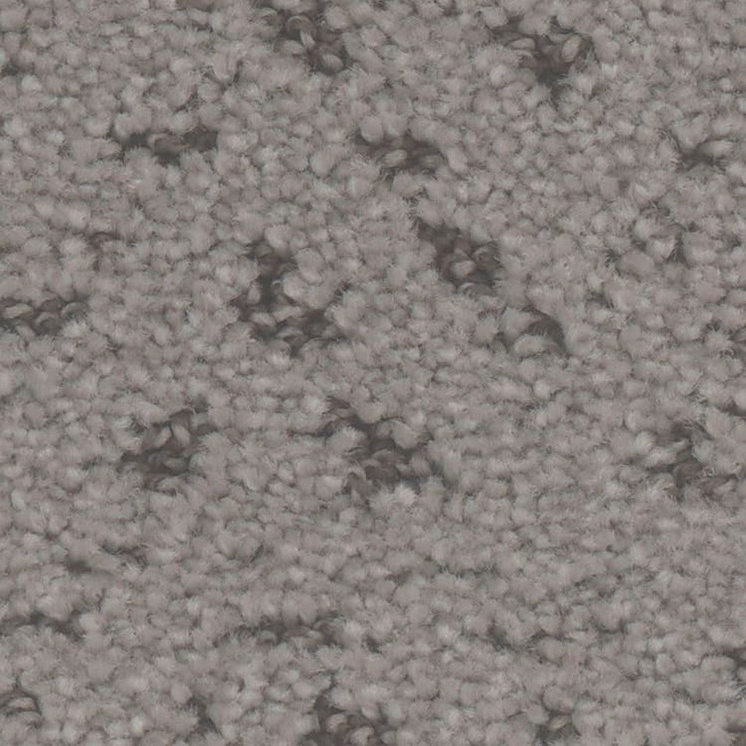 Phenix Floor Ever Pet Plus 12' Impression Carpet Tile