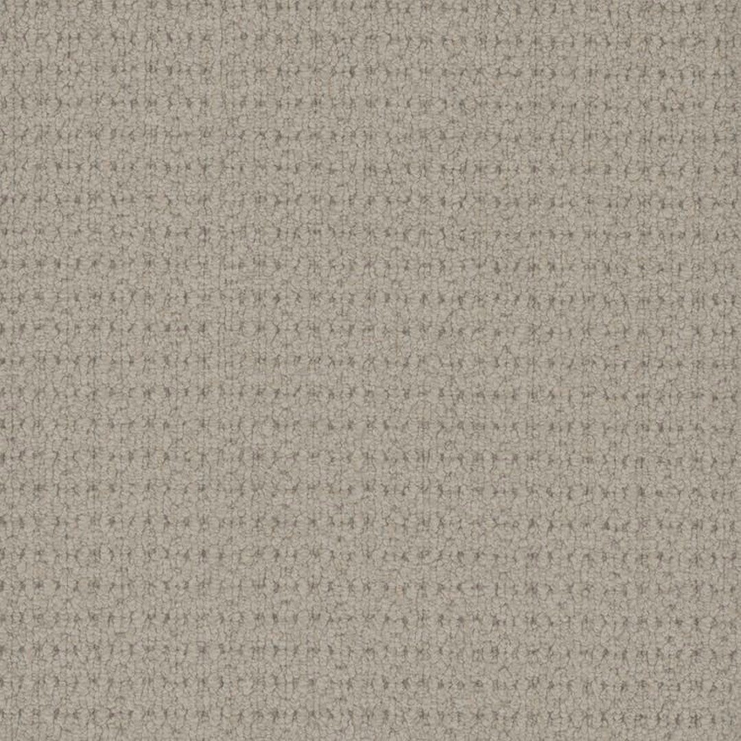 Phenix Floor Ever Pet Plus 12' Cardigan Carpet Tile