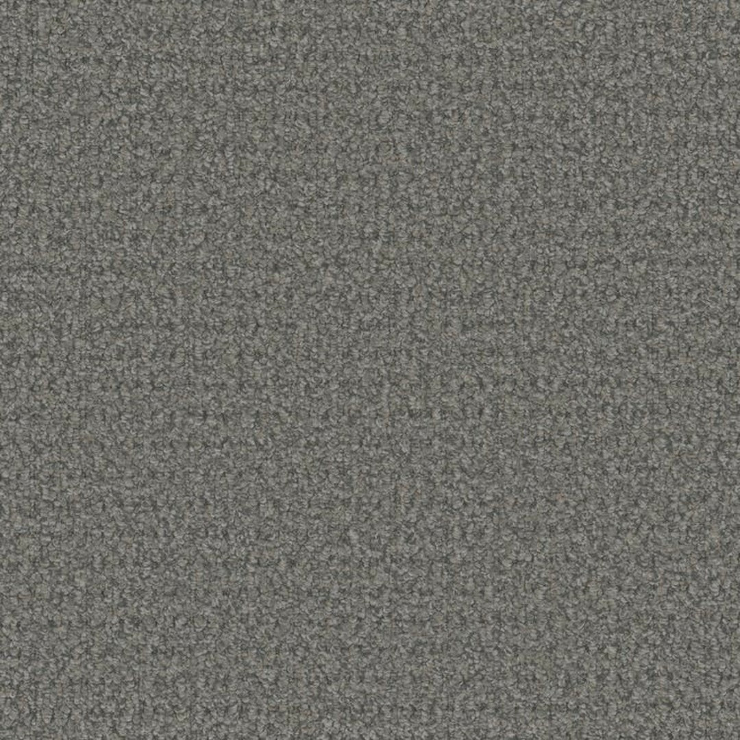 Phenix Floor Ever Pet Plus 12' Cardigan Carpet Tile