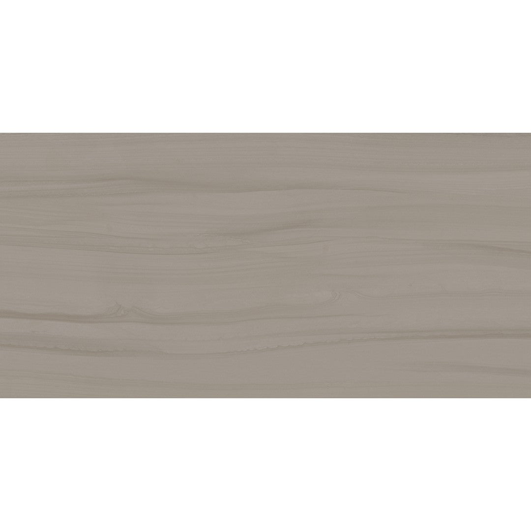 Florida Tile Sequence 24" x 48" Rectified Matte Porcelain Tile