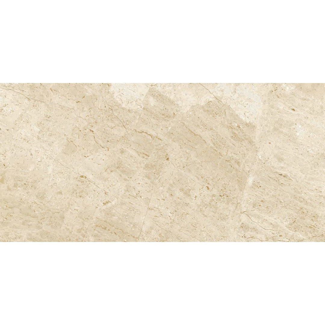 Florida Tile Bakersfield 12" x 24" Pressed Matte Porcelain Tile