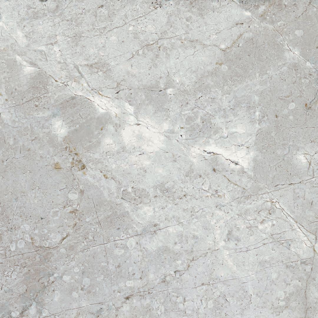 Florida Tile Bakersfield 12" x 12" Pressed Matte Porcelain Tile