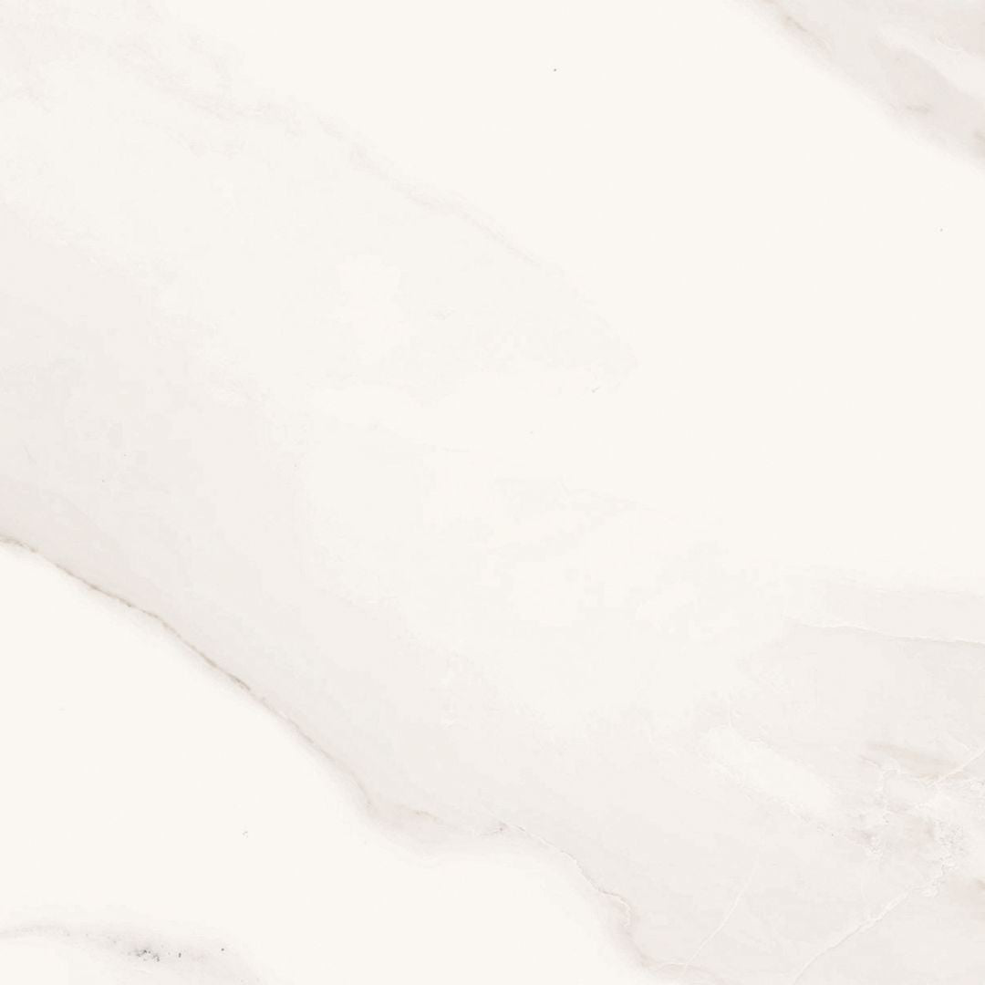 Florida Tile Ainslee Park 12" x 12" Pressed Matte Porcelain Tile