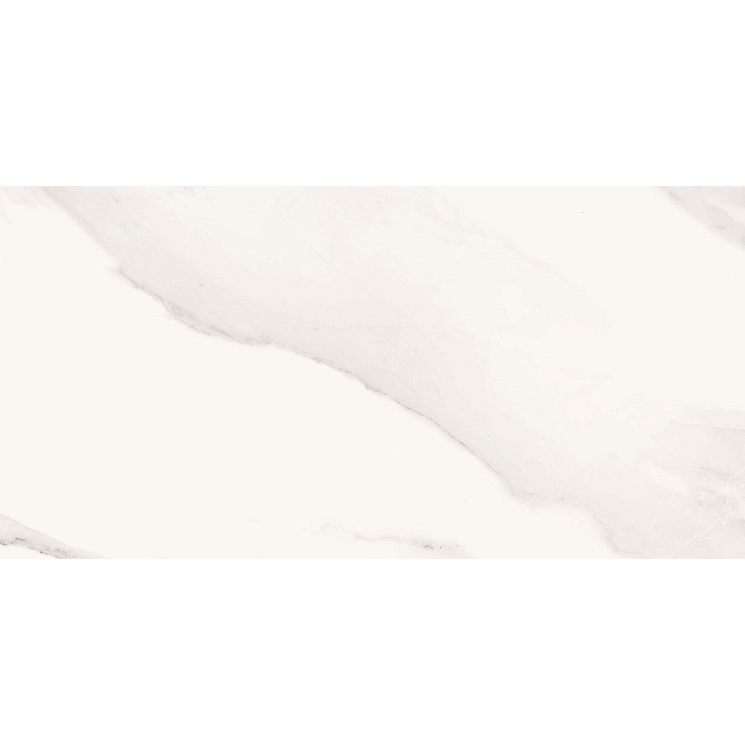 Florida Tile Ainslee Park 12" x 24" Pressed Matte Porcelain Tile