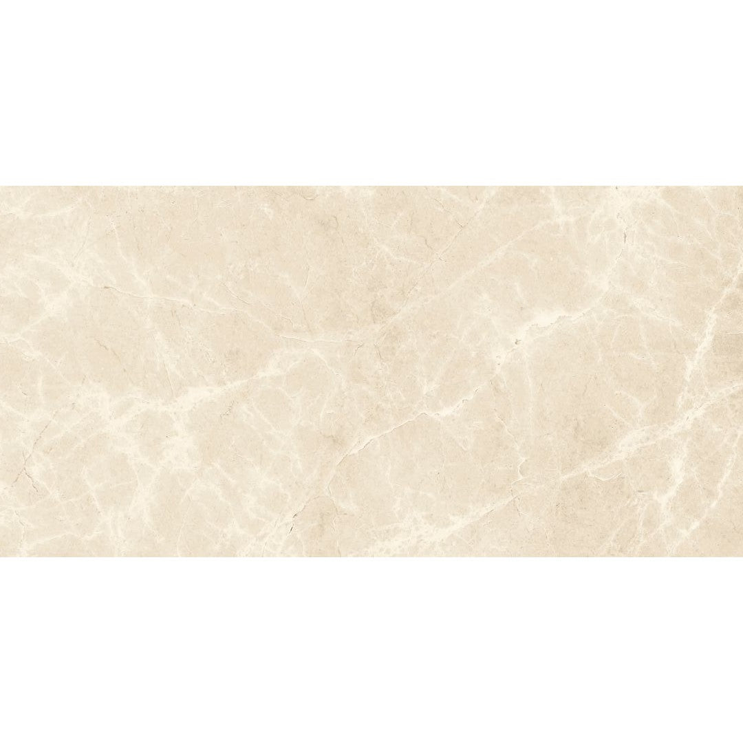 Florida Tile Ainslee Park 12" x 24" Pressed Matte Porcelain Tile