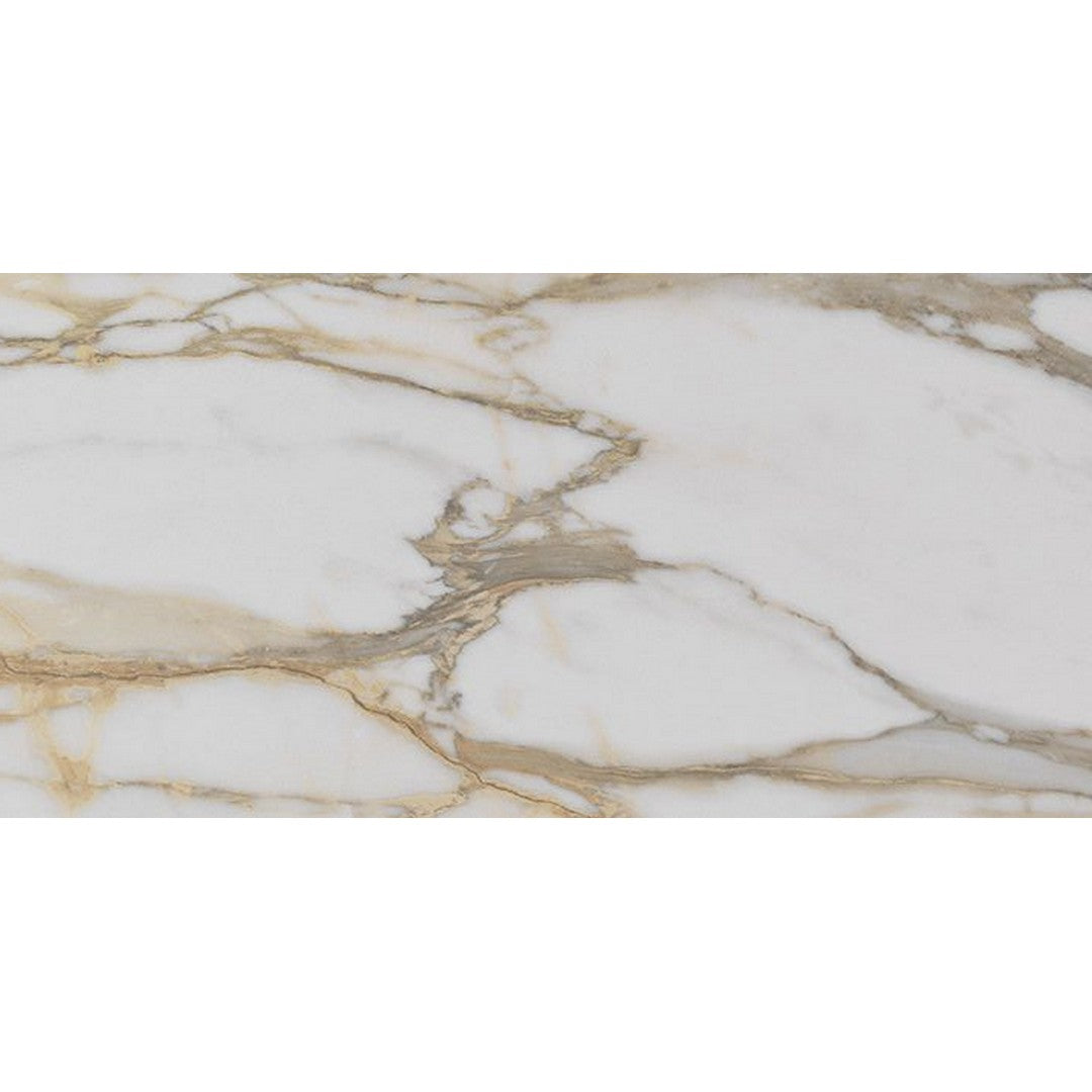 Florida Tile Alustra 12" x 24" Rectified Polished Porcelain Tile